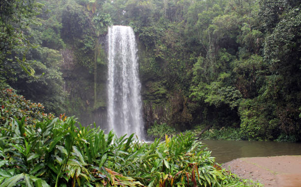istock Millaa Millaa Falls waterfall surrounded by plants and rainforest trees in Far North Queensland, Australia 1707607423