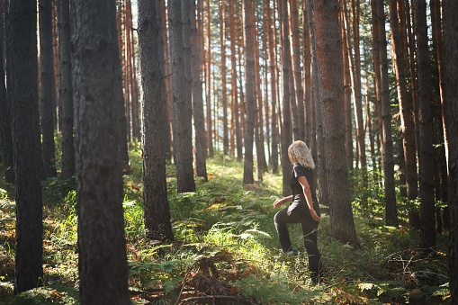 An adult woman walks through pine forest in rays of the morning sun, forest bathing, relaxation idea