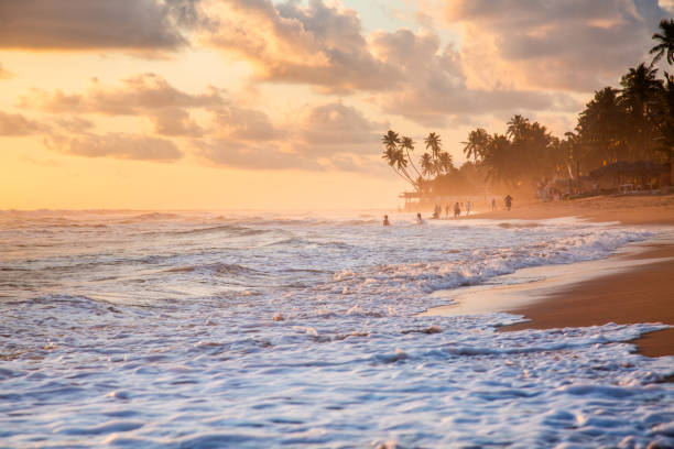 istock Sunset on a sandy beach with palm trees and people in Hikkaduwa. 1707625813