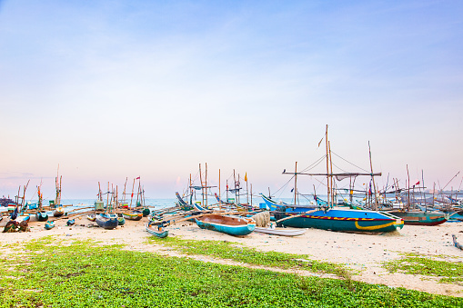 A group of colorful fishing boats on a sandy beach in  Sri Lanka. The boats are painted in bright colors such as blue, yellow, red, and green, and have flags on them. The beach is surrounded by green vegetation. The sky is clear and blue, and the horizon is visible. The photo is taken from a low angle and the boats are in the foreground, creating a sense of depth and perspective.