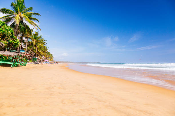 istock Empty tropical beach with palm trees and blue sky, Hikkaduwa. 1707626323