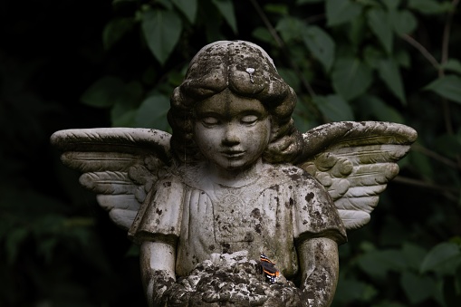 A stone statue of a winged angel.