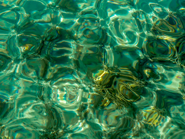 istock Background of light effects on clear lagoon water surface 1707645436