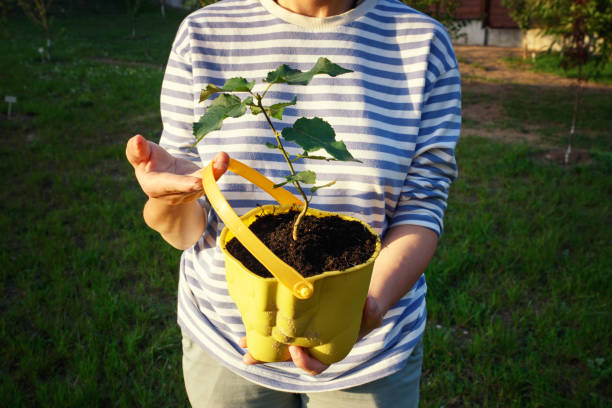 istock Planting Flowers in Reusable Pots 1707664150