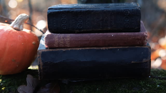 Old books in the forest.