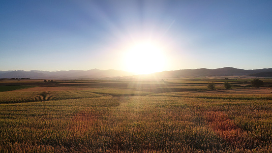 Aerial view of a field at sunset