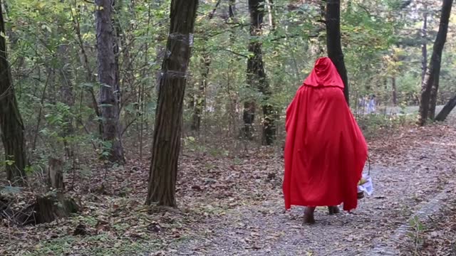 Rear-View Of Little Red Riding Hood Walking In The Forest