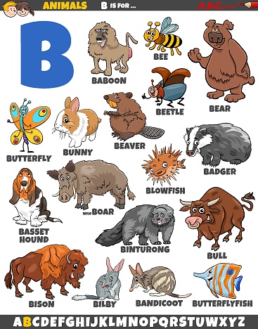 Cartoon illustration of animal characters set for letter B