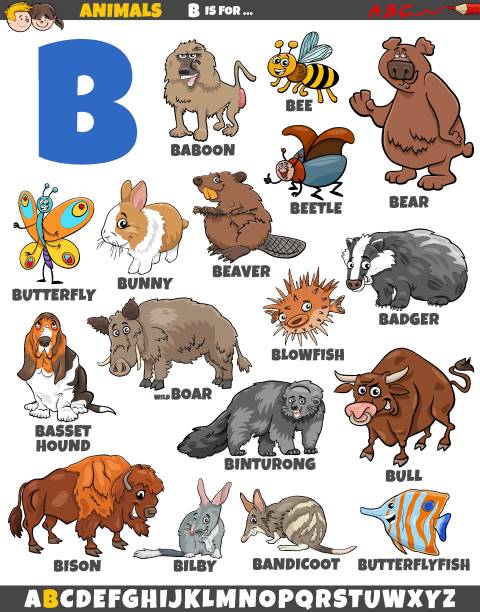 cartoon animal characters for letter B educational set Cartoon illustration of animal characters set for letter B the boar fish stock illustrations
