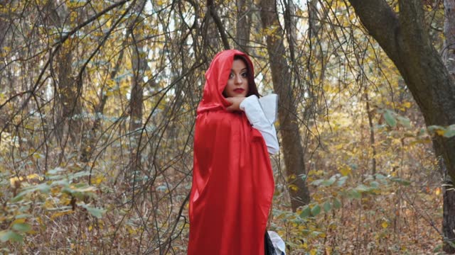 Little Red Riding Hood In The Forest