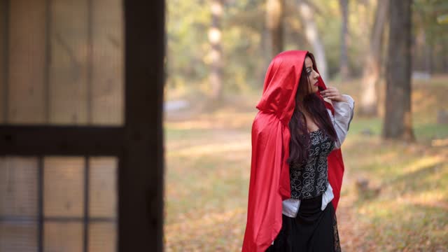 Little Red Riding Hood In Front Of The House In The Forest