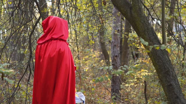 Rear-View Of Little Red Riding Hood In The Forest