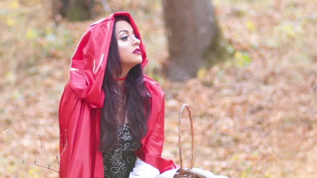 Little Red Riding Hood Sitting In The Forest