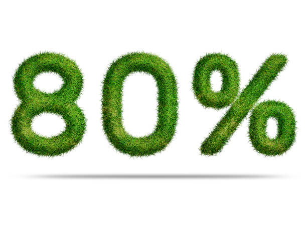 istock 80 percent with green grass for special offer discount sale concept 1707798120