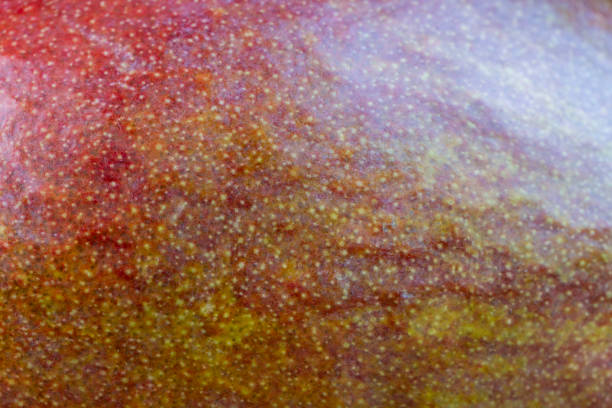 istock whole mango fruit red green peel, close up 1707824788