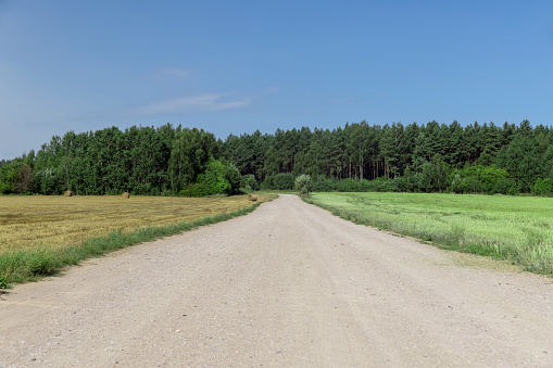 unpaved highway in summer, wide sandy road to the forest