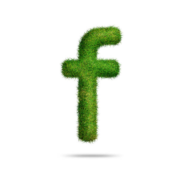 istock Green grass alphabet small letter f for text or education concept 1707833640