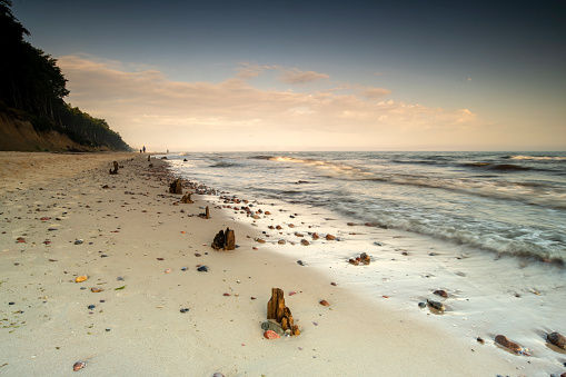 The landscape on the Baltic Sea.