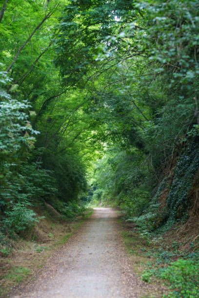 istock Cycleway in the park between Colle Val d Elsa and Poggibonsi 1707881139