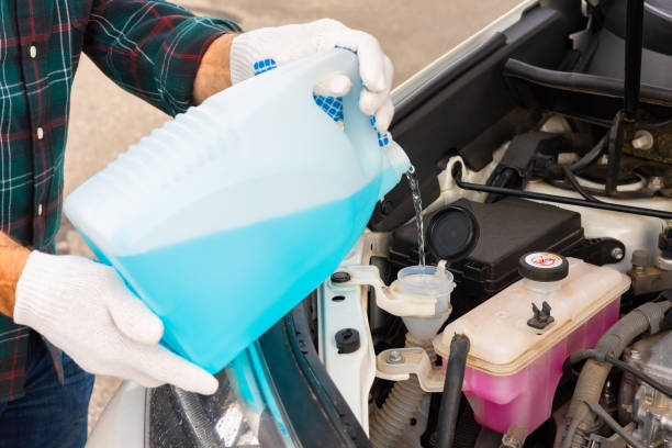 istock the driver pours antifreeze into the car 1707901371