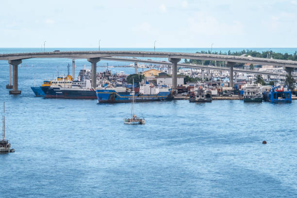 istock Nassau, Bahamas 1707902545