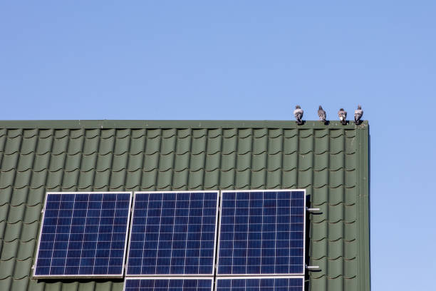 istock Solar system on a roof Own home 1707916324