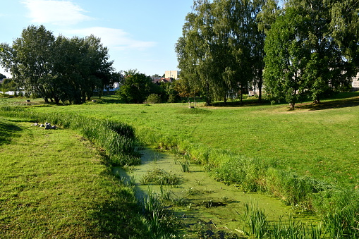 A view of a scenic public park located next to a small river or lake overgrown with reeds and shrubs located next to some agricultural allotments, houses, huts, and shacks, seen on a sunny day