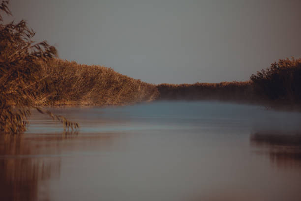 Fog on the river in autumn