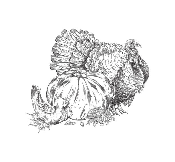 istock Turkey bird, pumpkin with slice and leaves hand drawn vector illustration. 1707988180
