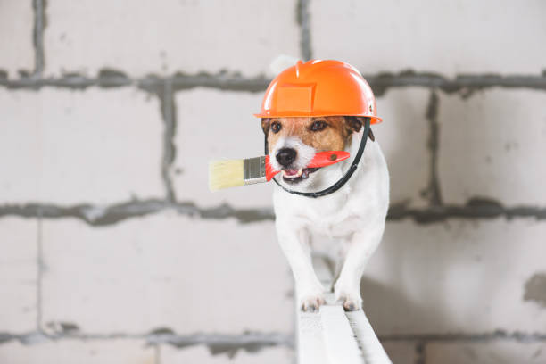istock Humorous skillful and deft builder in hard hat with paint brush at construction site 1707992103
