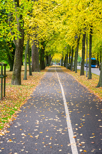 Bicycle lane in the city of Gothenburg, Sweden