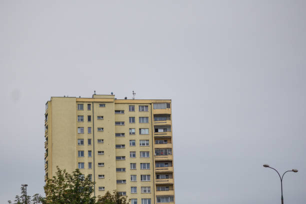 High-rise housing estate in Krakow. Trees. No people.