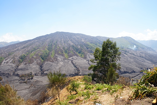 An area of ​​504 hectares of forest and land fires in Mount Bromo National Park which resulted in damage to plant, animal and tourist ecosystems