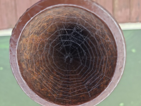 Spider on a web with abstract lines symbolizing network (internet). Dark background.