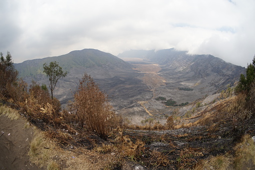 An area of ​​504 hectares of forest and land fires in Mount Bromo National Park which resulted in damage to plant, animal and tourist ecosystems