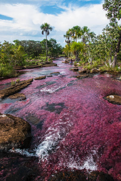 istock River of colors in Colombia 1708055309