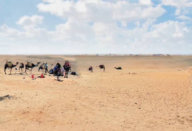 istock Giza Tourist Camel Rides 1708069271