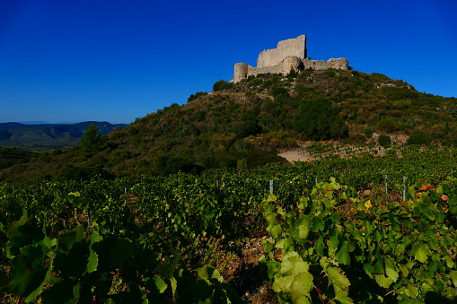 Ruins of Aguilar castle above the vineyards, Aude