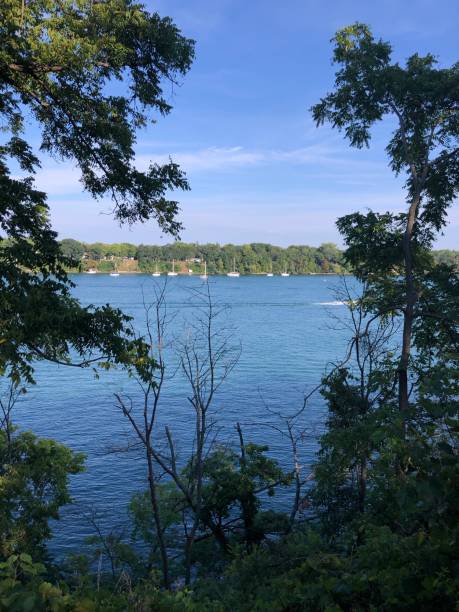 istock View of the river from the forest 1708105475
