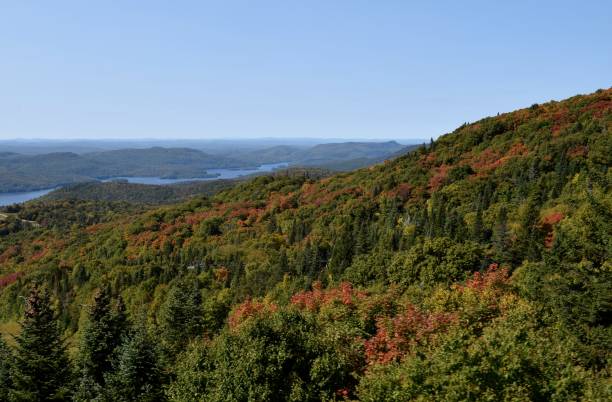 istock Laurentian Autumn landscape 1708111785