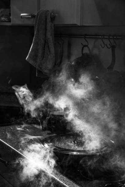istock Food preparation in pan with glass cover. 1708129908
