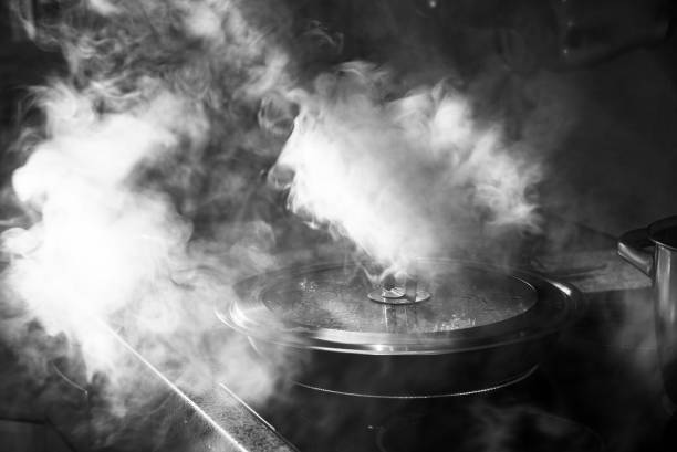 istock Food preparation in pan with glass cover. 1708129924