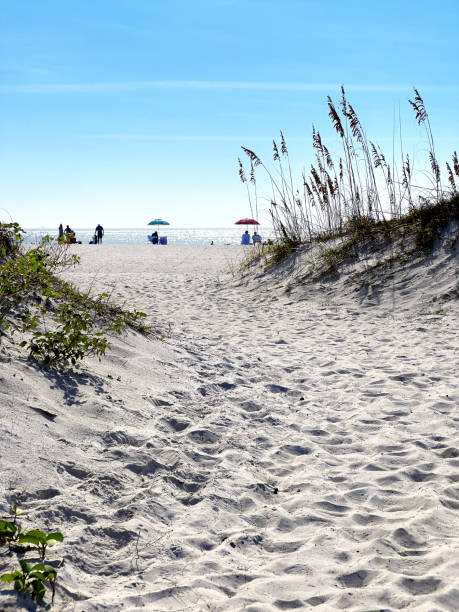 istock Tropical sandy island beach and people over sunny blue sky 1708153409