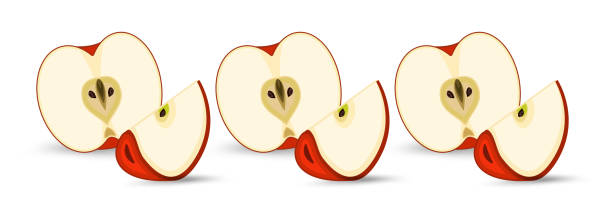 istock Groups of Apple pieces banner, apples sets cut into pieces of apple banner vector design, red fruity apples on isolated white background, vector, illustration 1708156106