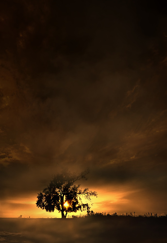 Dramatic landscape with large single tree over sunset sky and people