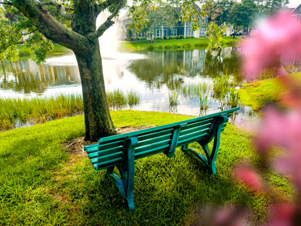 leerstehende sitzbank und wohnungen am seeufer - standing water grass area meadow lawn stock-fotos und bilder