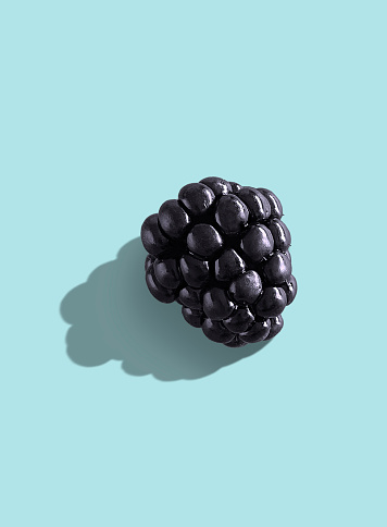 Fresh Blackberry on a pastel colored background
