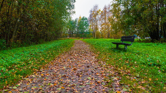 Public park pathway in autumn colors