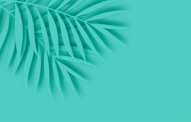 istock Tropical paper palm leaves frame. Summer tropical leaf. Origami exotic hawaiian jungle, summertime background. Paper cut. Minimal. Pastel art colorful style. 1708220512