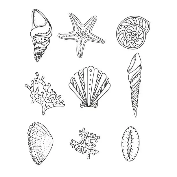 Vector illustration of Sea or ocean shells, seastar, coral in line art style. Hand drawn vector illustration. Design for coloring book. Set of ocean elements.